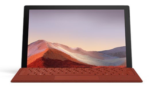 弥渡清洁和维护 Surface